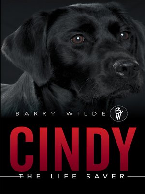 cover image of Cindy